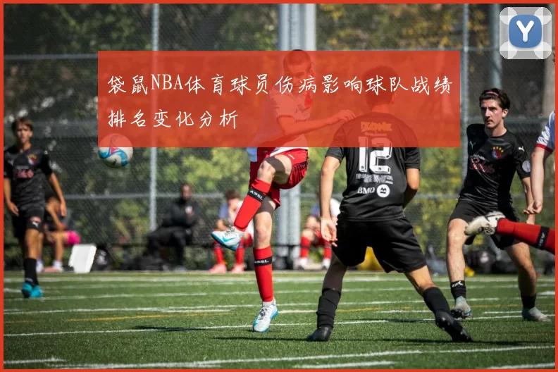 袋鼠NBA体育球员伤病影响球队战绩排名变化分析