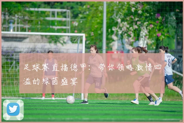 足球赛直播德甲：带你领略激情四溢的绿茵盛宴