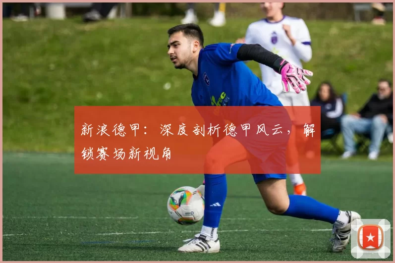 新浪德甲：深度剖析德甲风云，解锁赛场新视角